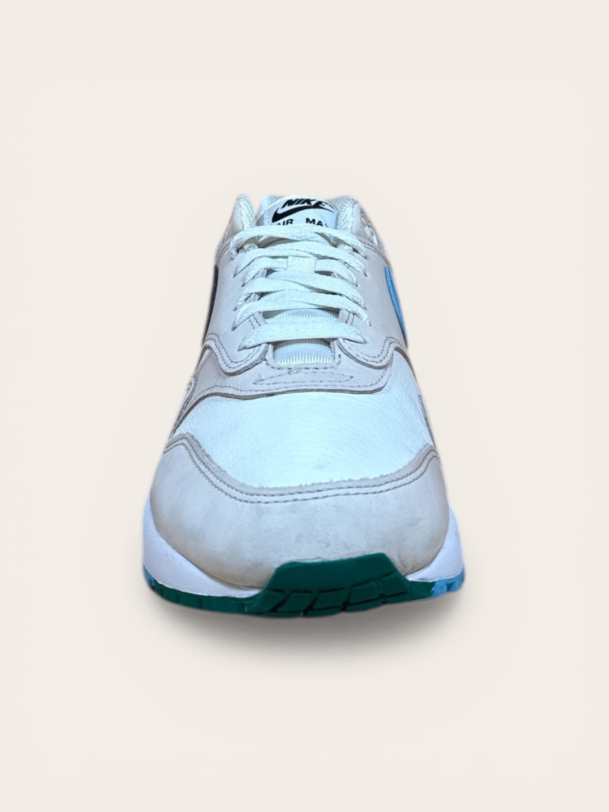 Nike Air Max 1 Multicolor