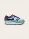 Nike Air Max 1 Concepts Mellow
