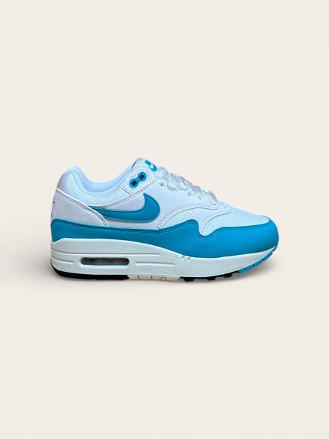 Nike Air Max 1 Dusty Cactus