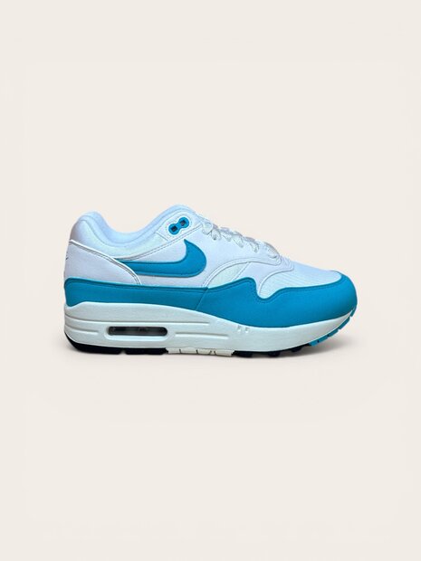 Nike Air Max 1 Dusty Cactus