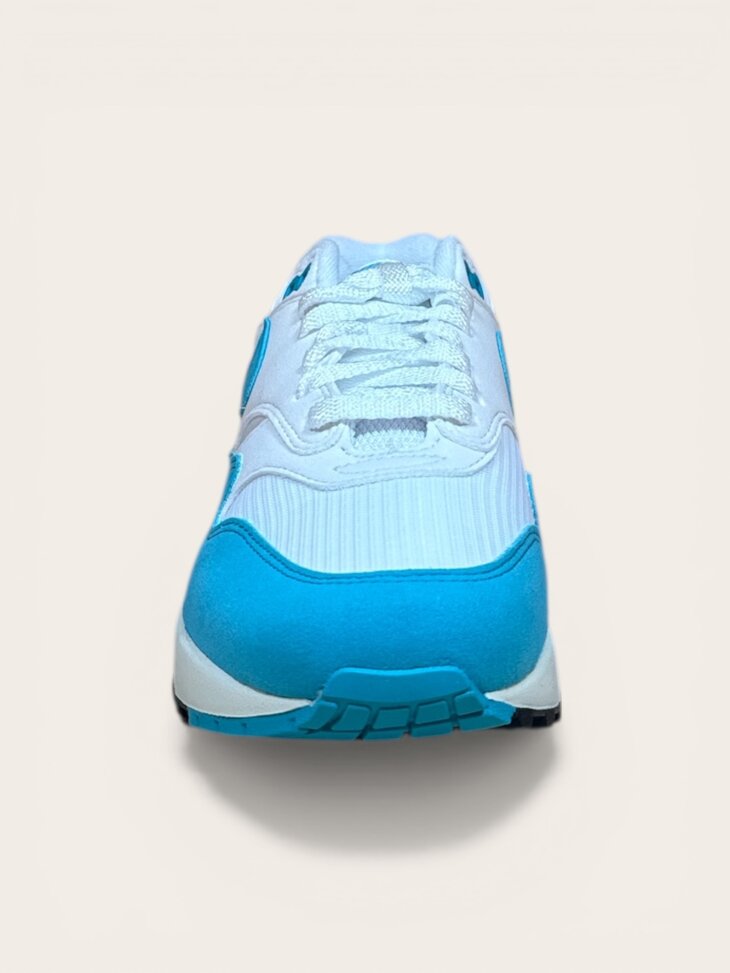 Nike Air Max 1 Dusty Cactus