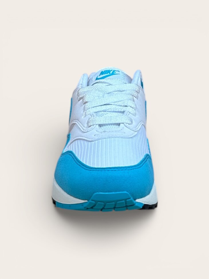 Nike Air Max 1 Dusty Cactus