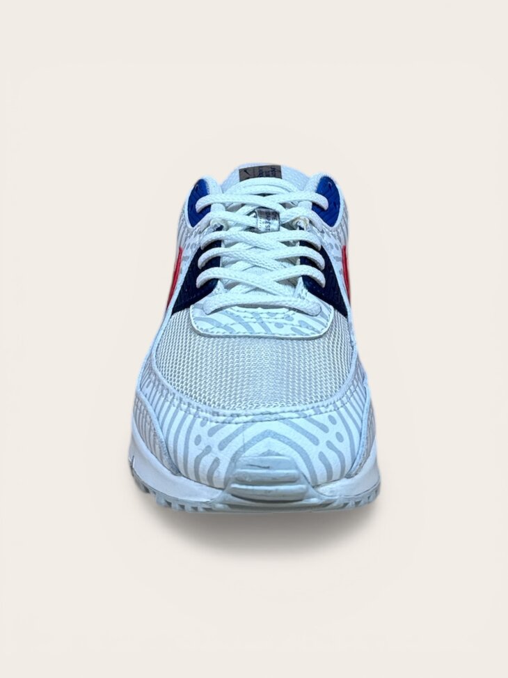 Nike Air Max 90 Euro Tour