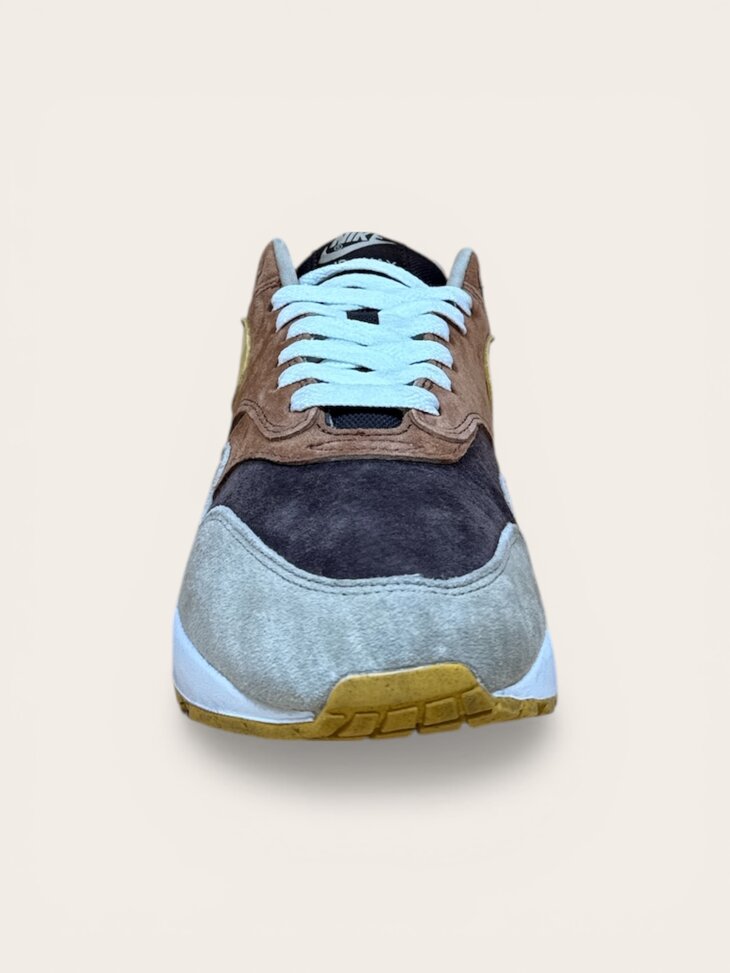 Nike Air Max 1 Ugly Duck Pecan