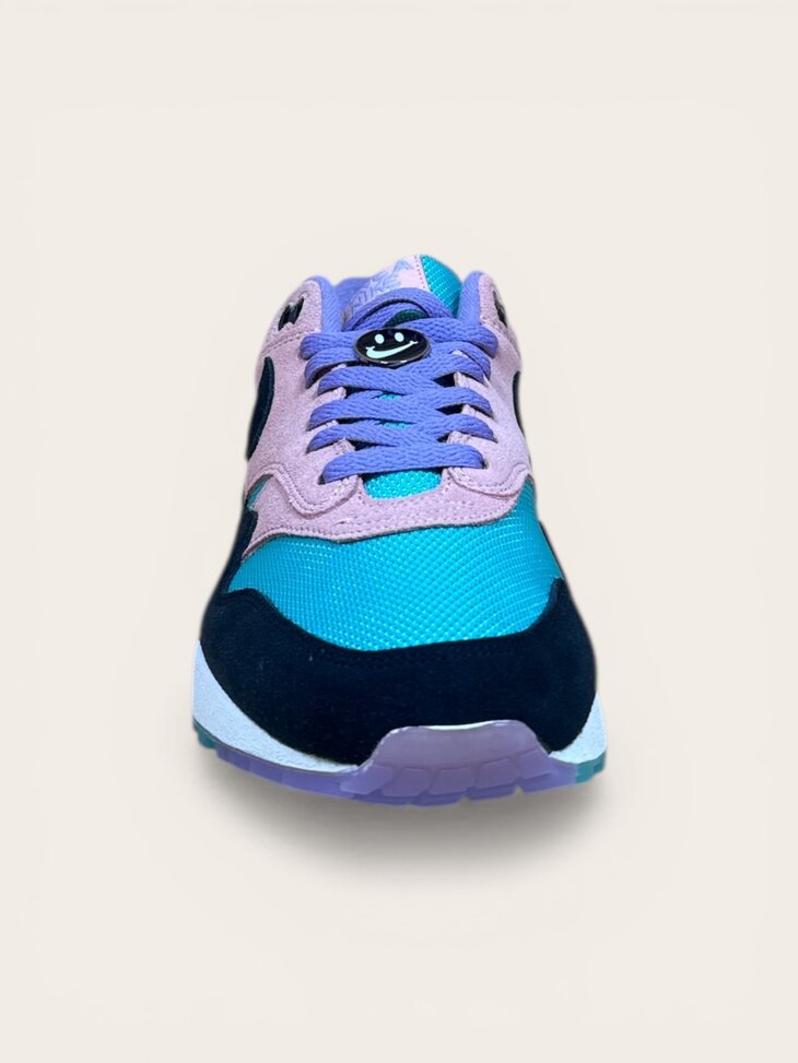 Nike Air Max 1 Have a Nike Day